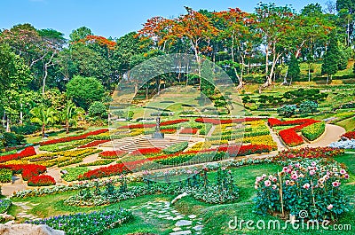 The blooming garden, Mae Fah Luang garden, Doi Tung, Thailand Stock Photo
