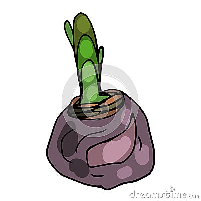 Blooming hyacinth on an isolated white background. The contour is drawn by hand. Jacinth for greeting cards, invitations, and more Vector Illustration