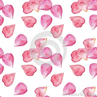 blooming Japanese cherry tree petals. Stock Photo