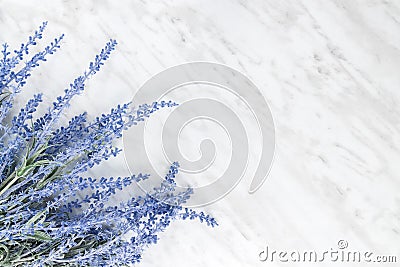 Blooming lavender on marble background with copy space Stock Photo