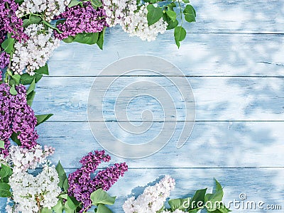 Blooming lilac flowers on the old wood. Stock Photo