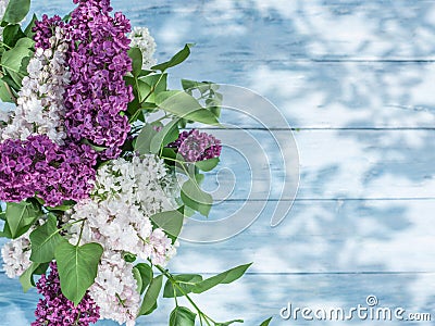 Blooming lilac flowers on the old wood. Stock Photo
