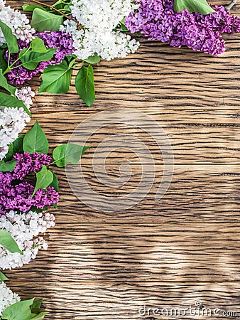 Blooming lilac flowers on the old wood. Stock Photo