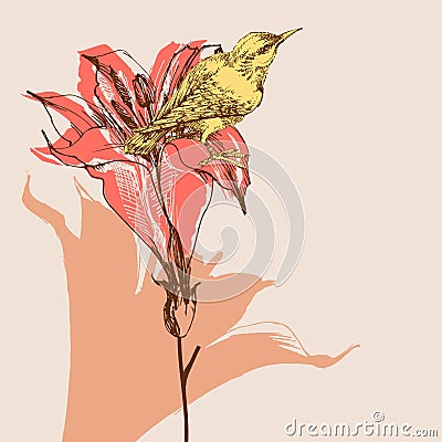 Blooming lily flowers and cute bird Vector Illustration