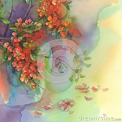 Blooming quince still-life watercolor Stock Photo