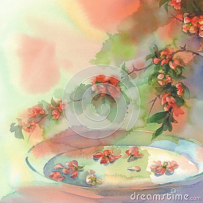 Blooming quince still-life watercolor Stock Photo