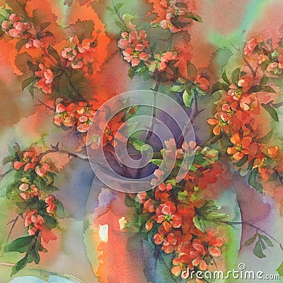 Blooming quince still-life watercolor Stock Photo