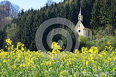 A blooming rapeseed field with a chapel in Austria Stock Photo