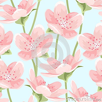 Blooming sakura magnolia cherry blossom on blue Vector Illustration