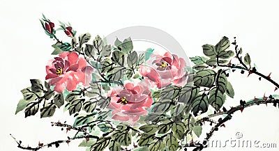 Blooming scarlet roses Stock Photo