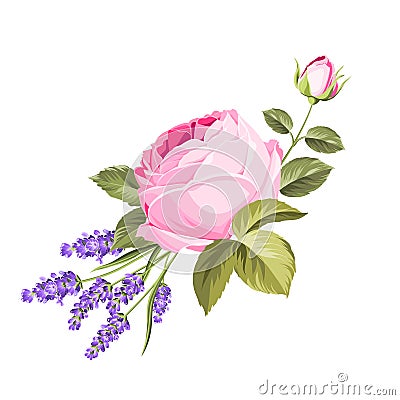 Blooming spring flowers. Vector Illustration