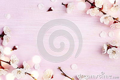 Blooming spring flowers on pink wooden background with copy space Stock Photo