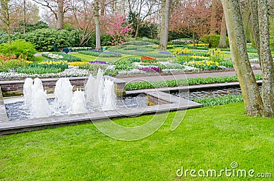 Blooming tulips flowerbeds in Keukenhof flower garden, also known as the Garden of Europe, one of the world largest flower gardens Stock Photo