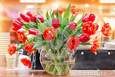 Tulips in a vase Stock Photo