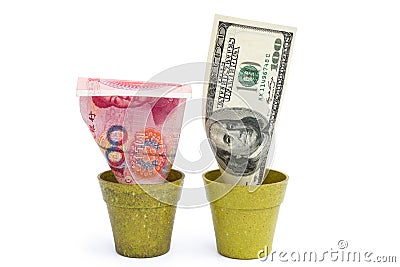 Blooming USD and fade RMB Stock Photo