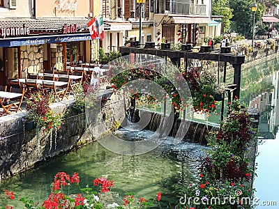 Blooms on the Canal Editorial Stock Photo