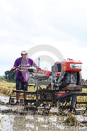 A farmer is tiring a rice field Editorial Stock Photo