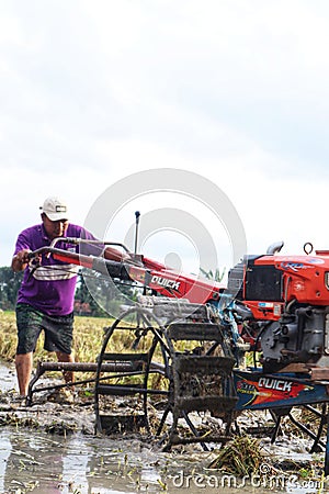 A farmer is tiring a rice field Editorial Stock Photo