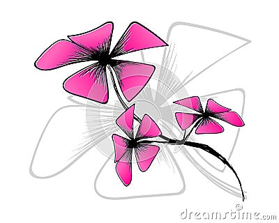 Blossom bloom on white background;pink flower draw with art line Vector Illustration