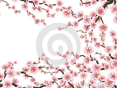 Blossom branches of pink sakura. EPS 10 Vector Illustration