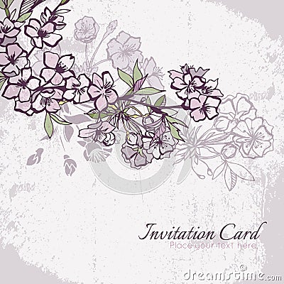 Blossom cherry or sakura wedding invitation card Vector Illustration