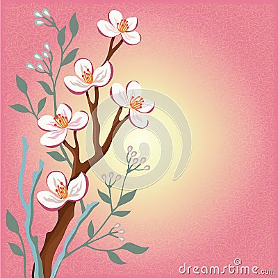 Blossom cherry tree Stock Photo