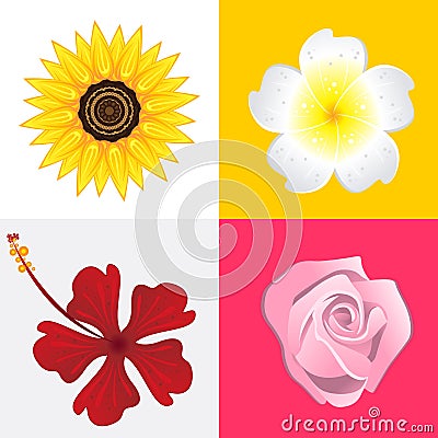 Blossom Flower Vector Illustration