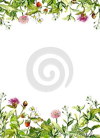 Blossom flowers, spring grass, herbs. Floral frame border. Watercolor Stock Photo