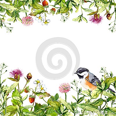 Blossom flowers, wild grass, spring herbs, bird. Floral card. Watercolor Stock Photo