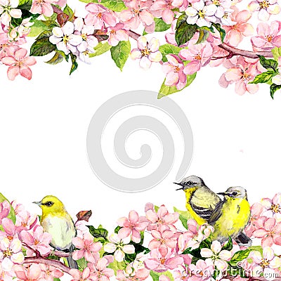 Blossom pink sakura flowers and song birds. Floral card or blank. Watercolor Stock Photo