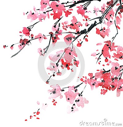 Blossom sakura tree Cartoon Illustration