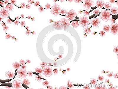 Blossom sakura for your design. EPS 10 Vector Illustration