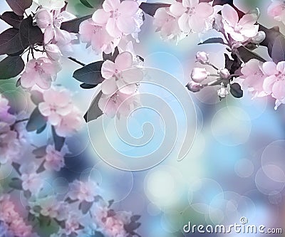 Blossoming apple. Spring time. Background. Dawn in the garden. Stock Photo