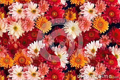Blossoming Beauty Realistic Seamless Chrysanthemum Flower Pattern for Backgrounds and Textures. created with Generative AI Stock Photo