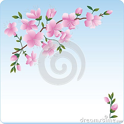 Blossoming branch. Pink flowers. Vector Illustration