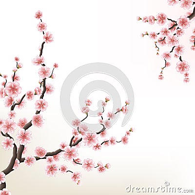 Blossoming branch of sakura. EPS 10 Vector Illustration
