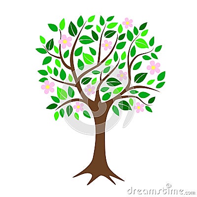 Blossoming cherry or apple tree with flowers and lush green leaves, simple flat illustration for logo or icon, spring Vector Illustration