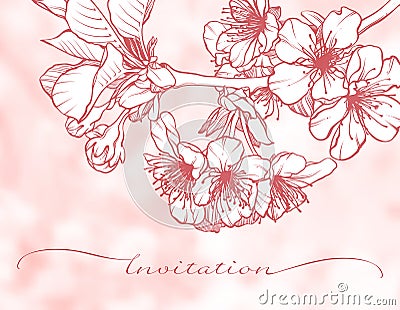 Blossoming cherry graphic branch Vector Illustration