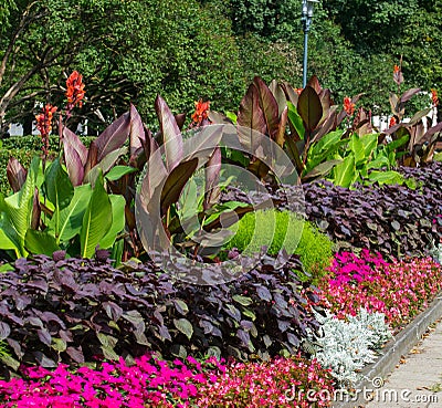 Blossoming colorful flowerbeds in summer city park in Riga Stock Photo