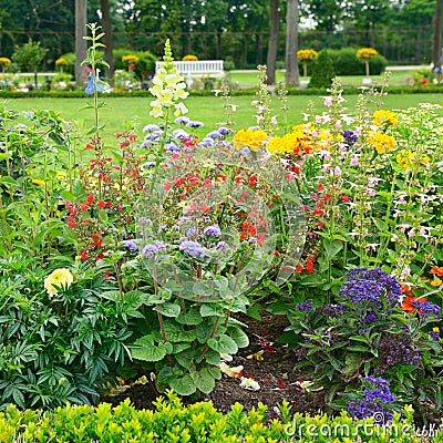 Blossoming flowerbeds Stock Photo