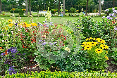 Blossoming flowerbeds Stock Photo