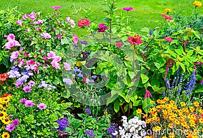 Blossoming flowerbeds Stock Photo