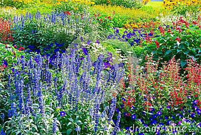 Blossoming flowerbeds Stock Photo