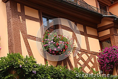 Blossoming geranium on the windows and balconies Stock Photo