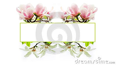 Blossoming magnolia flower frame Stock Photo