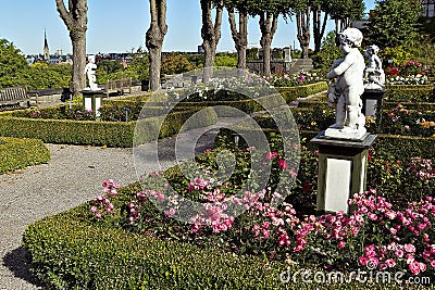 Blossoming rose flowerbeds in summer city park Stock Photo