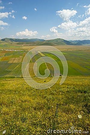 Blossoming time in Castelluccio di Norcia, Italy Stock Photo