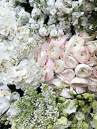 Blossoming white, pink, and green flowerbed of ranunculus, hydrangea, lilac. Top view, close up Stock Photo