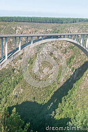 Bloukrans Bridge base jumper Editorial Stock Photo