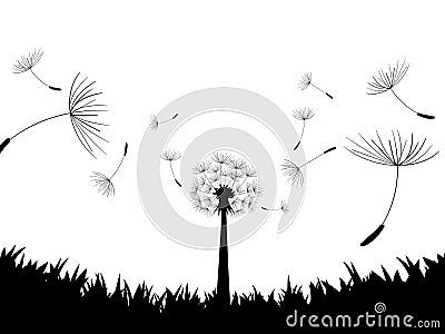 Blow Dandelion. Directly below. Vector Vector Illustration